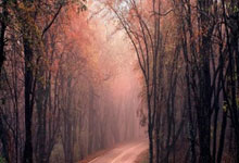 南特客场大胜，法国足球舞台局势生变