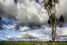 橙衣军团闪耀！瓦伦西亚队员的卓越表现铸就辉煌胜利