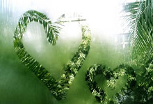 前瞻足球赛场：热门队伍备战关键战役