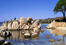 欧洲杯资格赛：国家队豪取关键比赛，荣耀加冕！